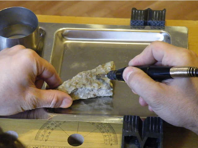 preparowanie skamieniałości