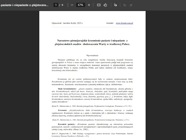 Krzemienie pasiaste z plejstoceńskich osadów zlodowacenia Warty w środkowej Polsce