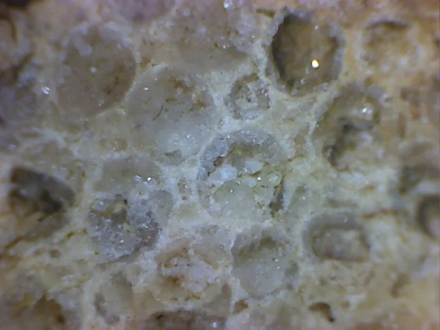 Protoheliolites - koralowiec denkowy (Tabulata)