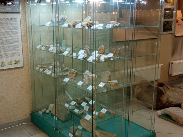 Muzeum Geologiczne UŁ, Łódź